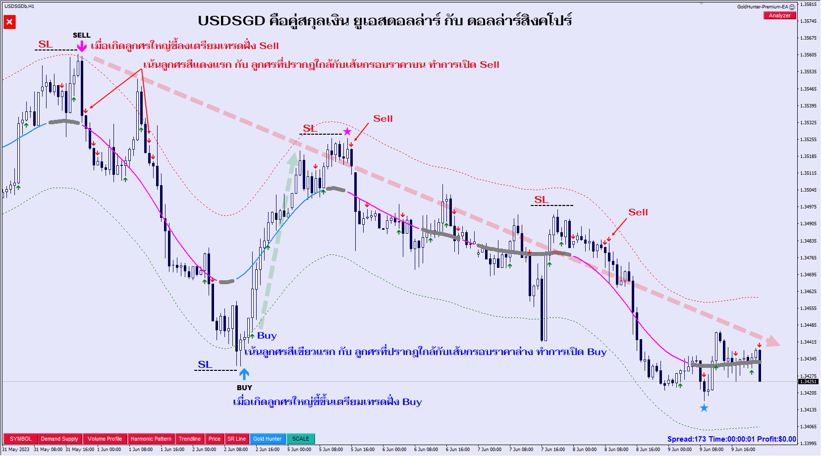 เทคนิคการเทรด GoldHunter-3