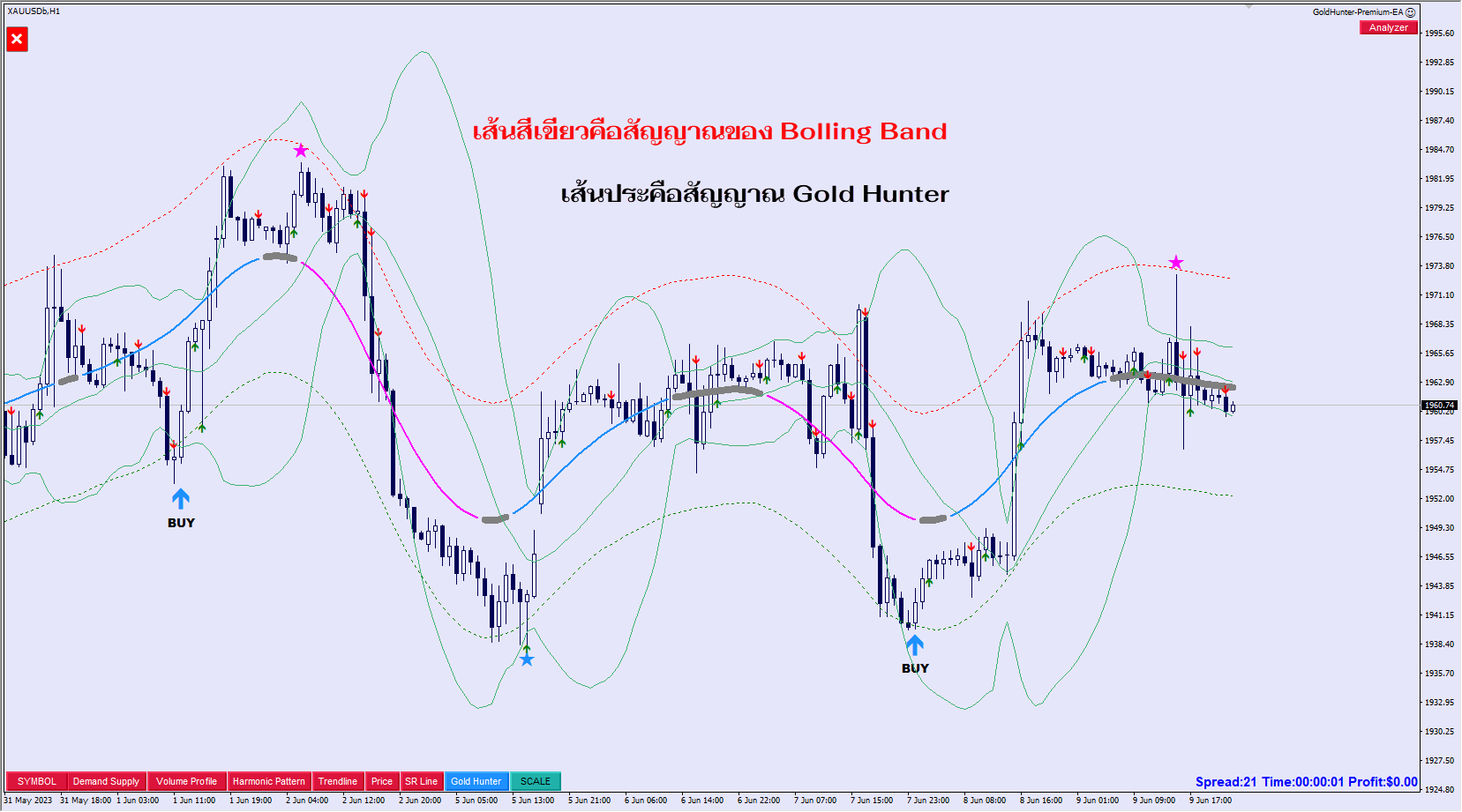 เทคนิคการเทรดด้วยGoldHunter-2