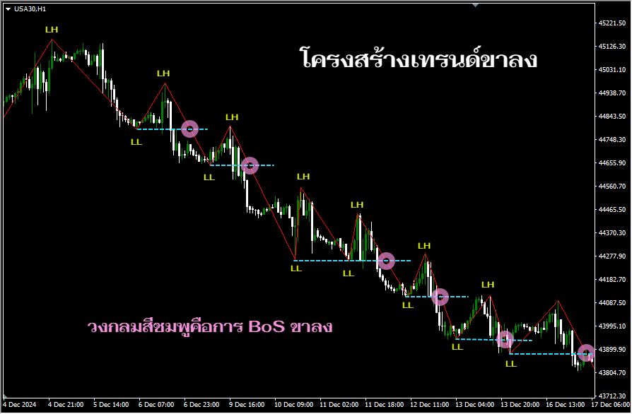 คู่มือการใช้งานระบบเทรด SMC PRO